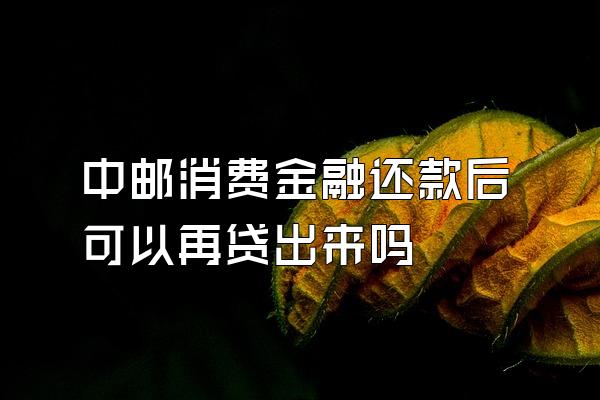 中邮消费金融还款后可以再贷出来吗
