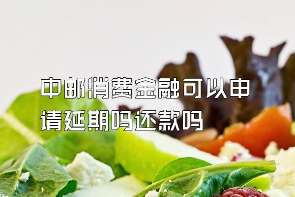 中邮消费金融可以申请延期吗还款吗