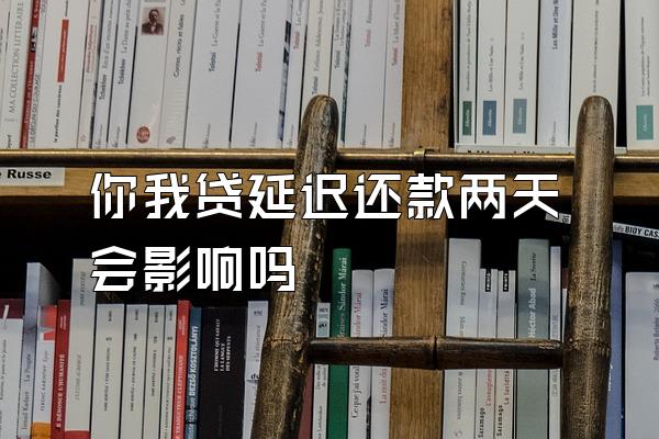 你我贷延迟还款两天会影响吗