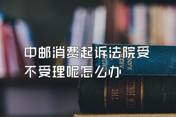 中邮消费起诉法院受不受理呢怎么办