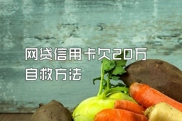 网贷信用卡欠20万自救方法