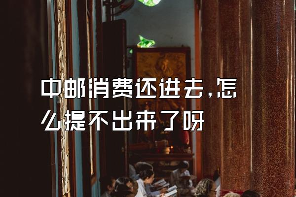 中邮消费还进去,怎么提不出来了呀
