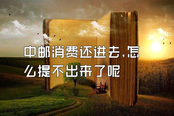 中邮消费还进去,怎么提不出来了呢