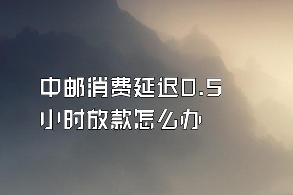 中邮消费延迟0.5小时放款怎么办