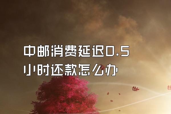 中邮消费延迟0.5小时还款怎么办