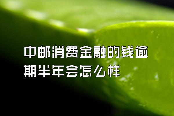 中邮消费金融的钱逾期半年会怎么样