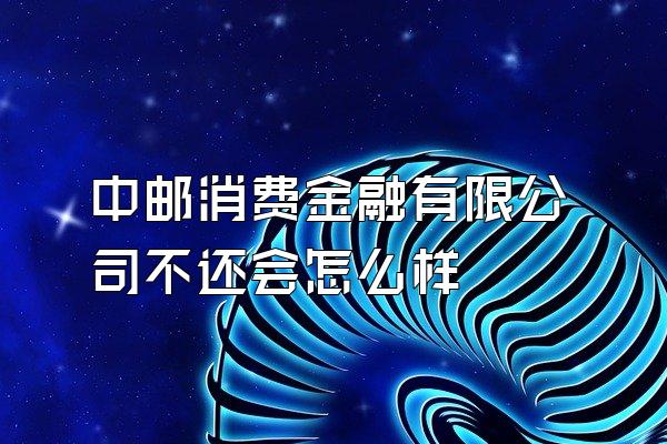 中邮消费金融有限公司不还会怎么样