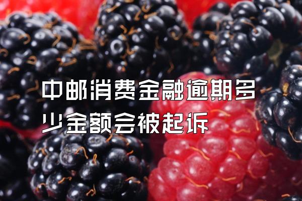 中邮消费金融逾期多少金额会被起诉