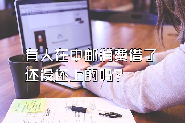 有人在中邮消费借了还没还上的吗?