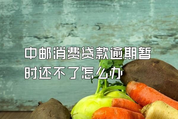 中邮消费贷款逾期暂时还不了怎么办