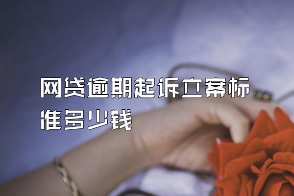 网贷逾期起诉立案标准多少钱