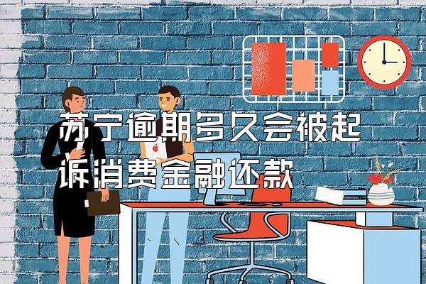 苏宁逾期多久会被起诉消费金融还款