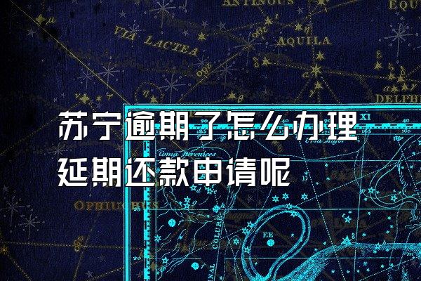 苏宁逾期了怎么办理延期还款申请呢