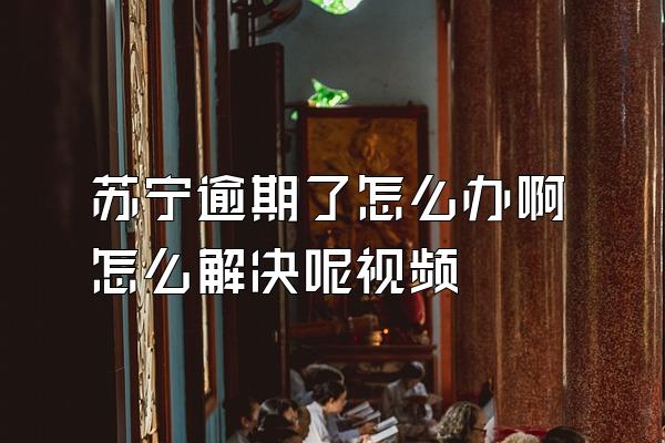 苏宁逾期了怎么办啊怎么解决呢视频