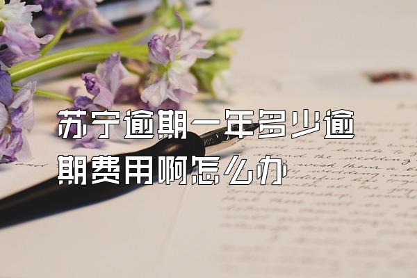 苏宁逾期一年多少逾期费用啊怎么办