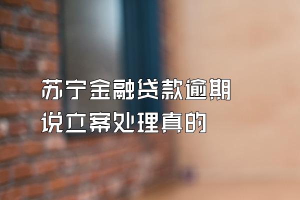 苏宁金融贷款逾期 说立案处理真的