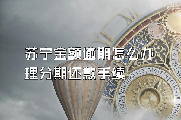 苏宁金额逾期怎么办理分期还款手续
