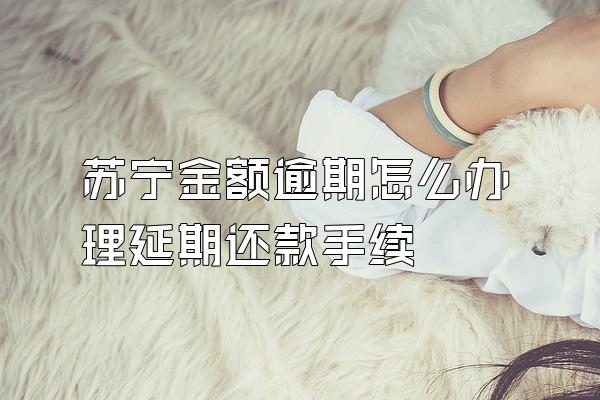 苏宁金额逾期怎么办理延期还款手续