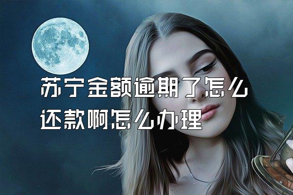 苏宁金额逾期了怎么还款啊怎么办理