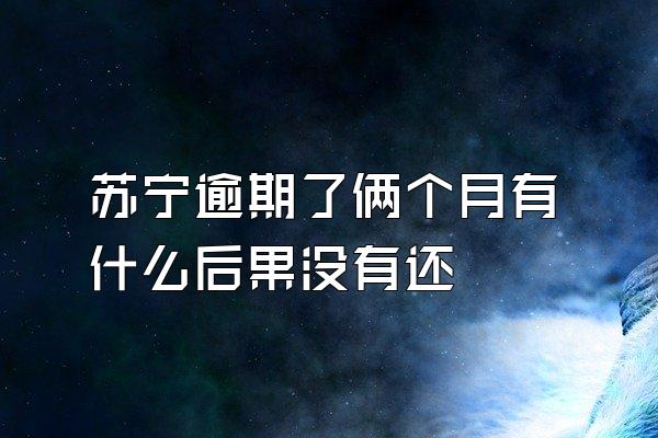 苏宁逾期了俩个月有什么后果没有还