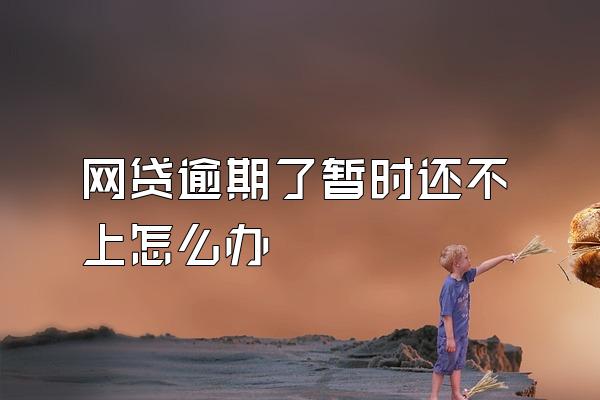 网贷逾期了暂时还不上怎么办