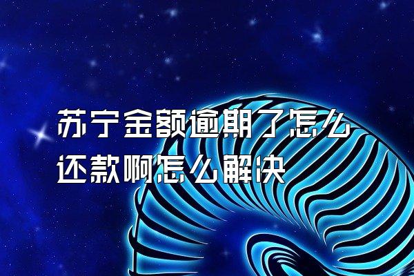 苏宁金额逾期了怎么还款啊怎么解决