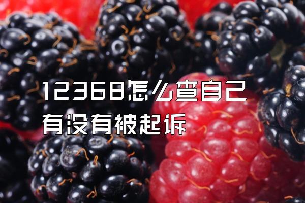 12368怎么查自己有没有被起诉