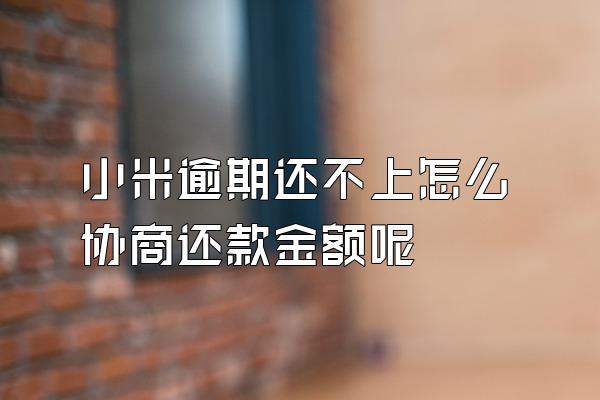 小米逾期还不上怎么协商还款金额呢