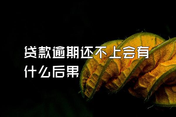 贷款逾期还不上会有什么后果