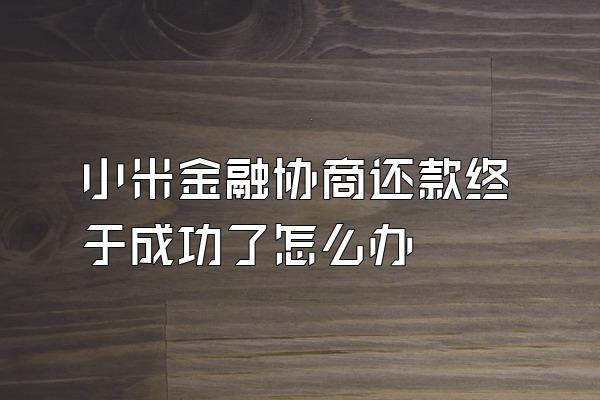 小米金融协商还款终于成功了怎么办