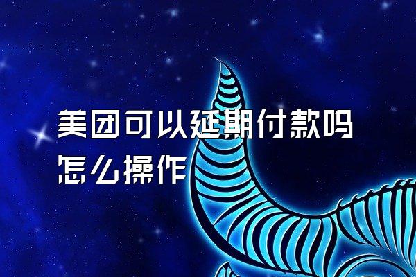 美团可以延期付款吗怎么操作