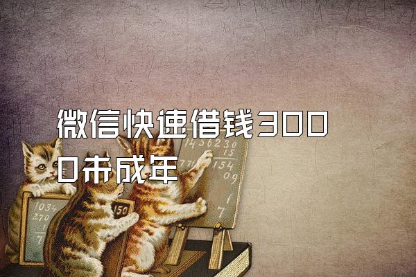 微信快速借钱3000未成年