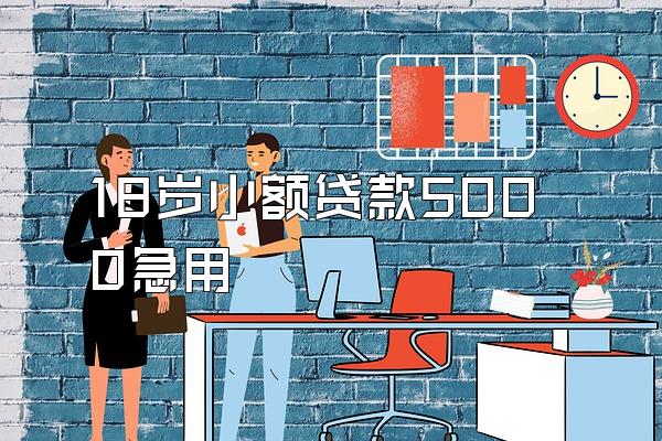 18岁小额贷款5000急用
