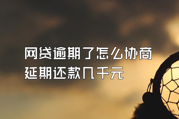 网贷逾期了怎么协商延期还款几千元