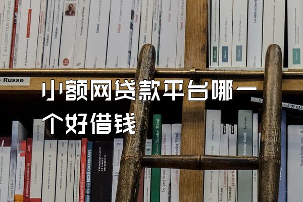 小额网贷款平台哪一个好借钱
