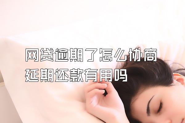 网贷逾期了怎么协商延期还款有用吗