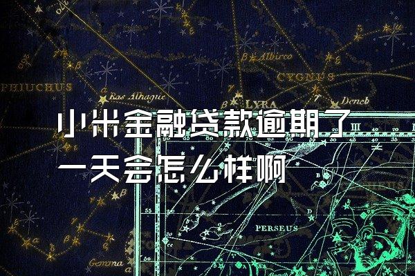 小米金融贷款逾期了一天会怎么样啊