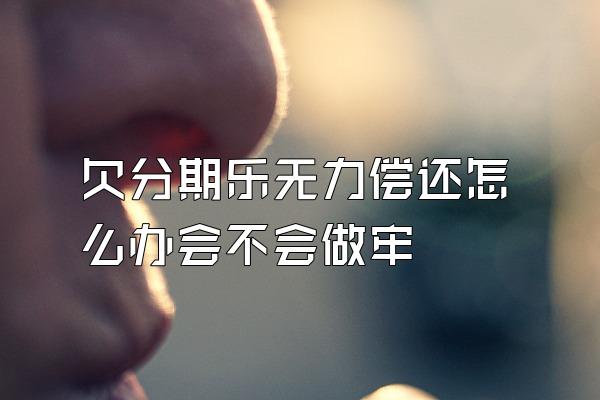 欠分期乐无力偿还怎么办会不会做牢