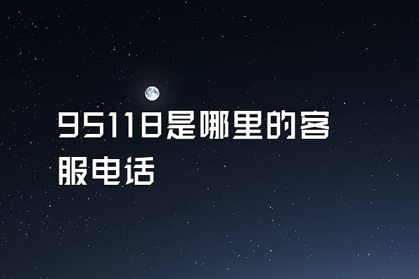 95118是哪里的客服电话