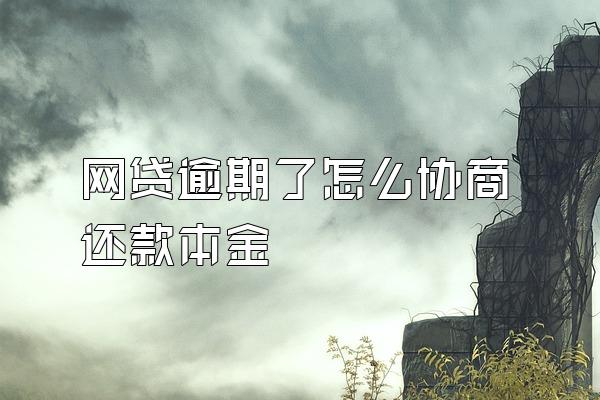 网贷逾期了怎么协商还款本金