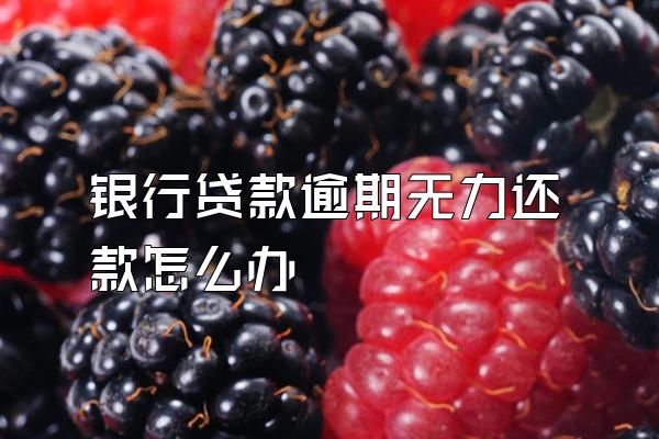 银行贷款逾期无力还款怎么办