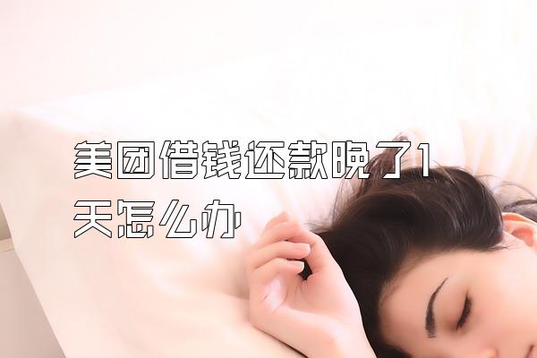 美团借钱还款晚了1天怎么办