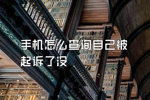 手机怎么查询自己被起诉了没