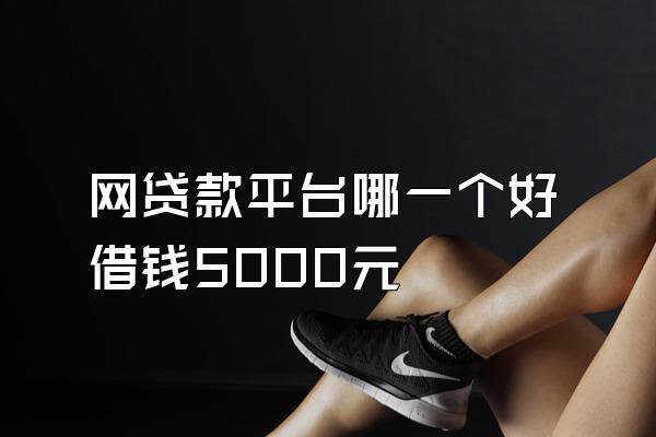 网贷款平台哪一个好借钱5000元