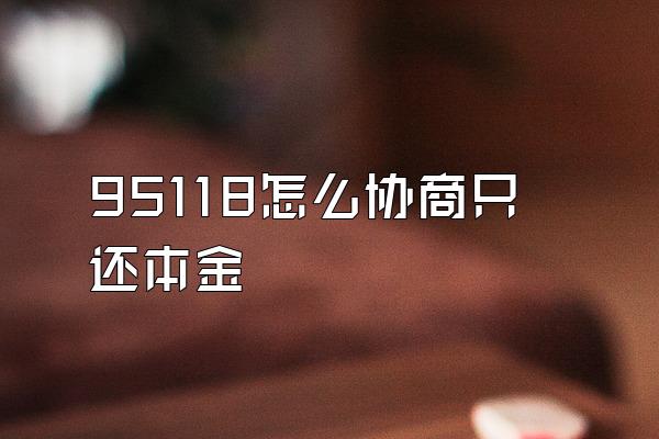 95118怎么协商只还本金