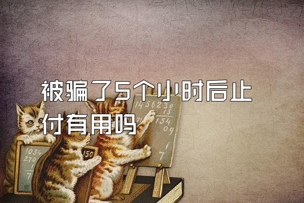 被骗了5个小时后止付有用吗