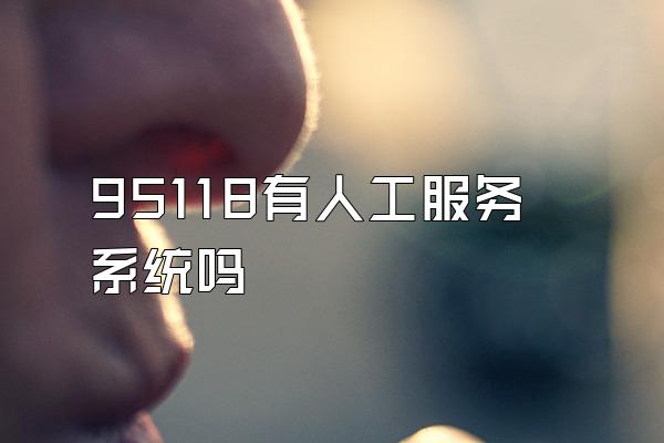 95118有人工服务系统吗