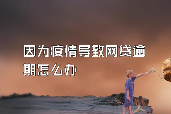 因为疫情导致网贷逾期怎么办