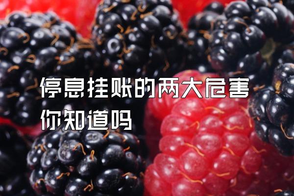 停息挂账的两大危害你知道吗