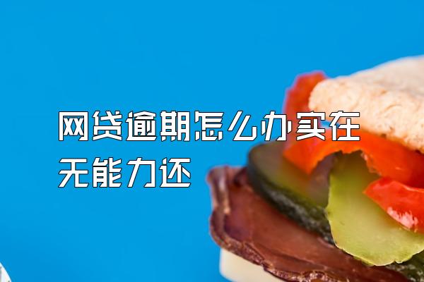 网贷逾期怎么办实在无能力还